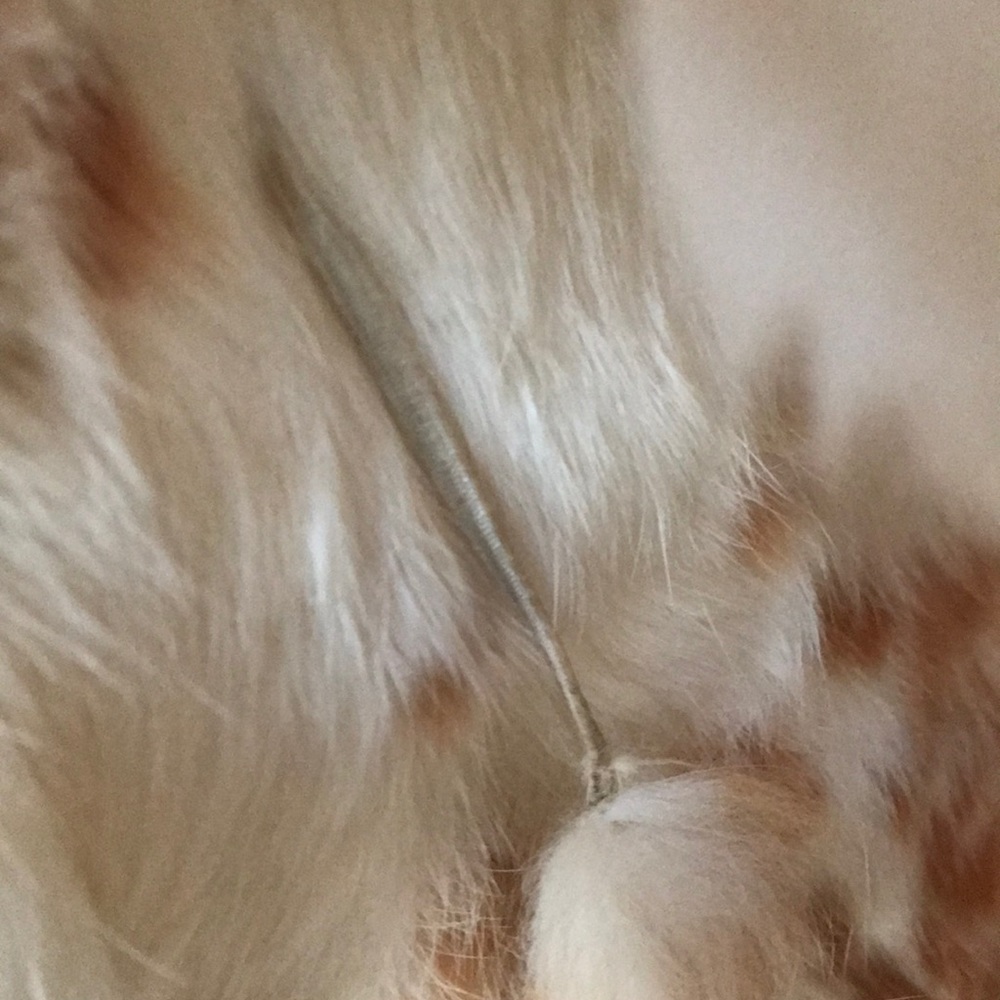 Orylag French Origin Rabbit Fur - Picture 8 of 8